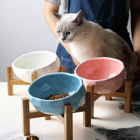 Porcelain Kitty Bowl