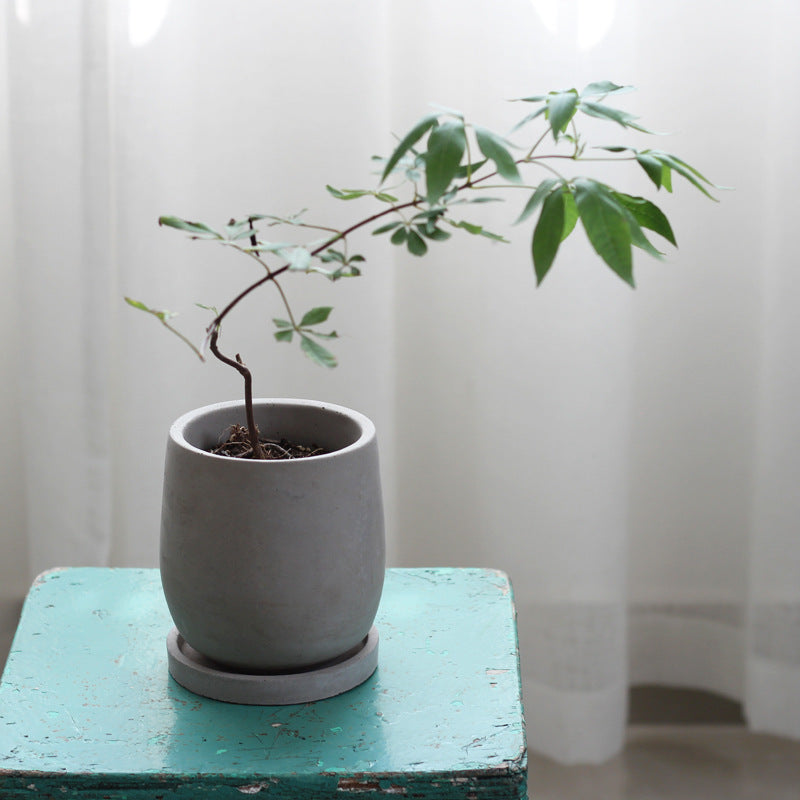 Natural Cement Flower Pot